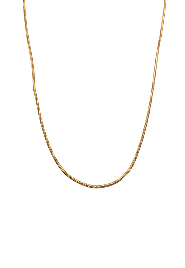 Kasha Adjustable with Long Plain Chain Necklace in Gold