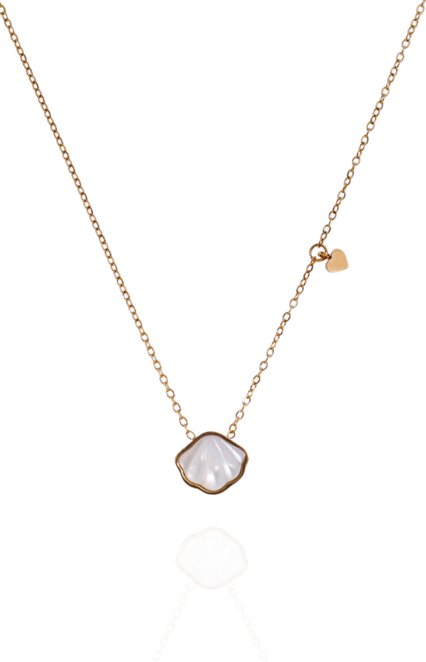 Minimalist Shell Pendant Chain Necklace in Gold