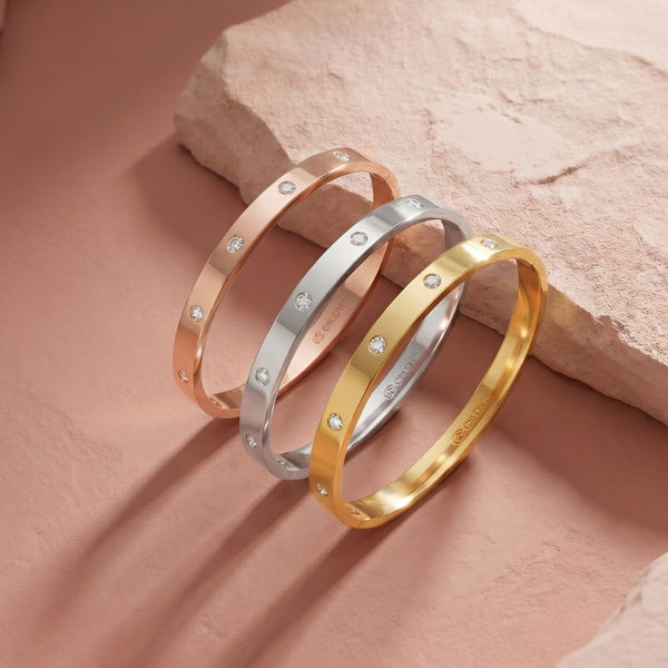 戴迪亚斯手镯的旅行癖
