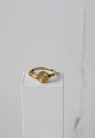 Vision Engravable Radial Rayburst Signet with Solid Band Ring in Gold